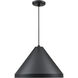 R Series 1 Light 13 inch Satin Black Indoor Pendant Ceiling Light